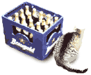 Bier + Katzen = LEUBINGEN !!!